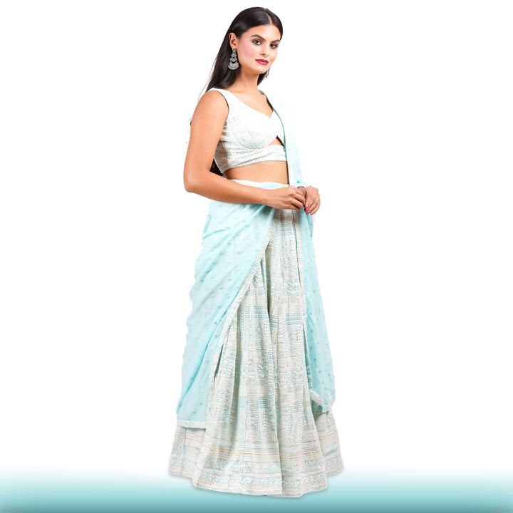 Baby Blue Chikankari Lehenga with a Sexy Blouse