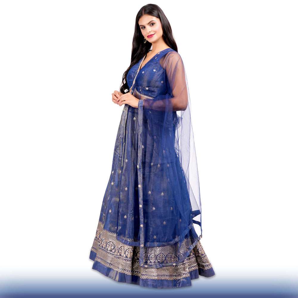 Regal Navy Blue lehenga in Organza